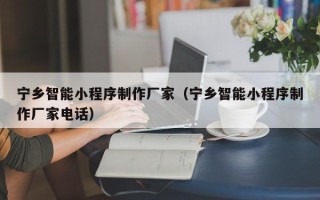 惠东宁乡智能小程序制作厂家（宁乡智能小程序制作厂家电话）