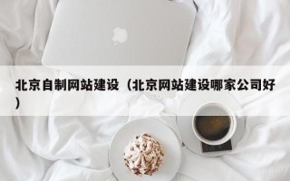 惠东北京自制网站建设（北京网站建设哪家公司好）